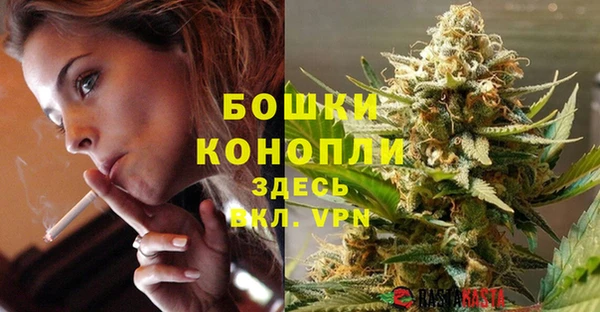 гидра Балахна
