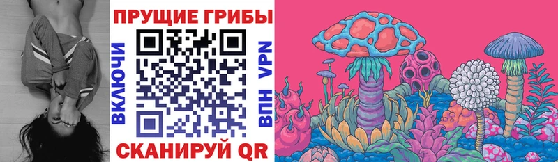 Псилоцибиновые грибы Cubensis МЕГА ССЫЛКА Бежецк купить наркотик